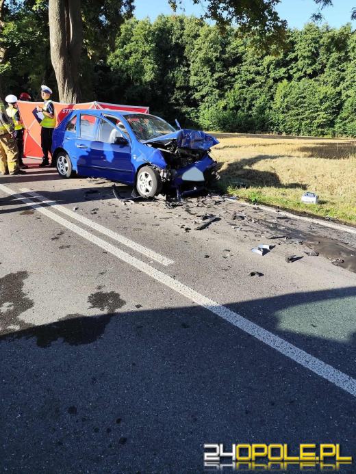 Jastrzygowice: Dwa auta zderzyły się ze sobą. Jedna ofiara śmiertelna(AKTUALIZACJA)