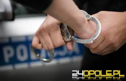 Areszt dla podejrzanego o znęcanie się nad partnerką