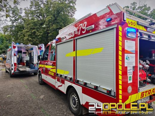 Wypadek podczas prac ziemnych w Lewinie Brzeskim. Strażacy ewakuowali poszkodowanego z wykopu