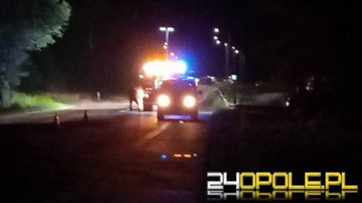 Kolizja z dzikiem w Prądach. Samochód wypadł na pobocze