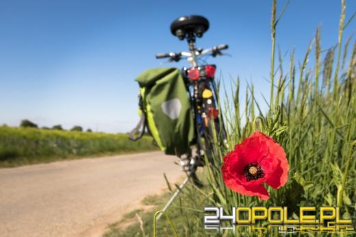 Połączy dwie miejscowości. W regionie powstanie nowa ścieżka rowerowa