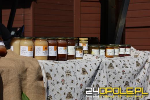 Smaki pokoleń na Placu Kopernika. Rusza 16. Festiwal Opolskich Smaków