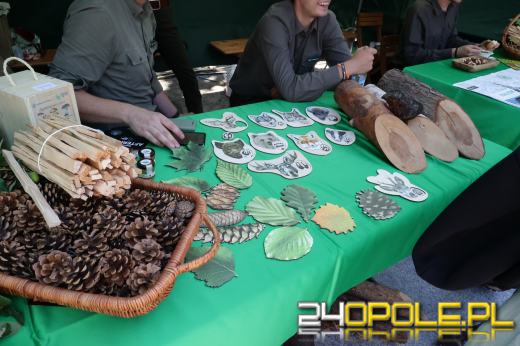 Smaki pokoleń na Placu Kopernika. Rusza 16. Festiwal Opolskich Smaków