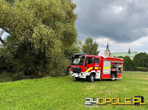 Mężczyzna utknął po pas w błocie. Akcja ratunkowa w Jemielnicy