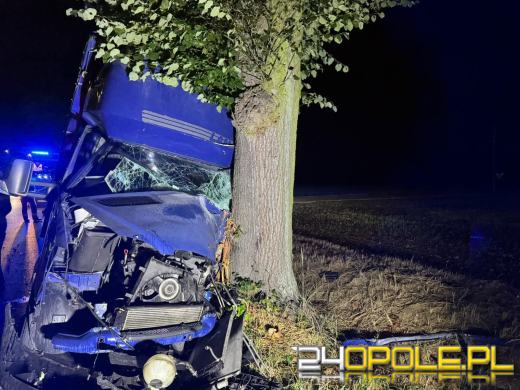 Bus uderzył w drzewo w Lasowicach Małych