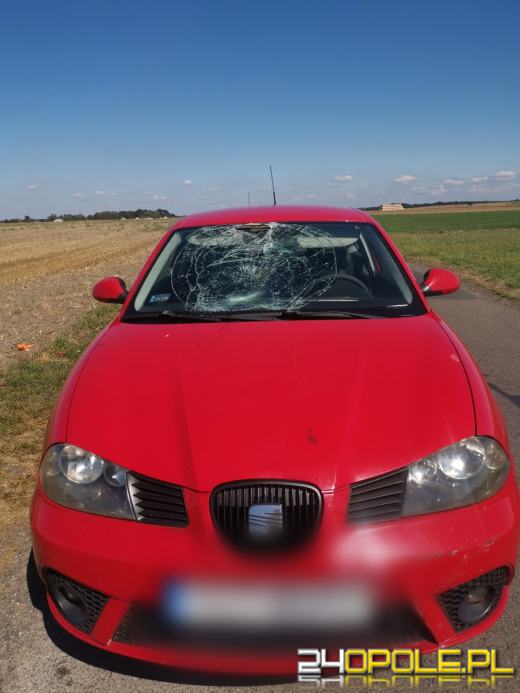 Rowerzysta wjechał pod nadjeżdzające auto, bo patrzył w telefon