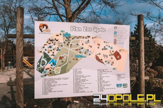 Nocne zwiedzanie w Zoo Opole - ogród w zupełnie nowym świetle
