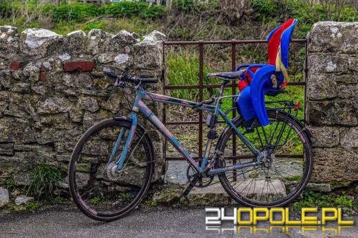 UOKiK: 8 na 10 modeli fotelików zakwestionowanych. Zobacz jakie