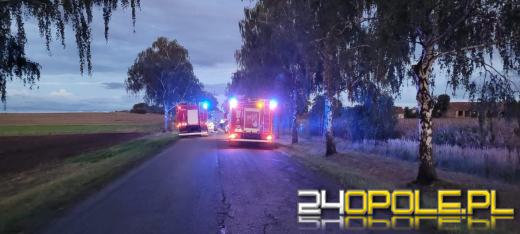 Śmiertelny wypadek na trasie Byczyna - Roszkowice