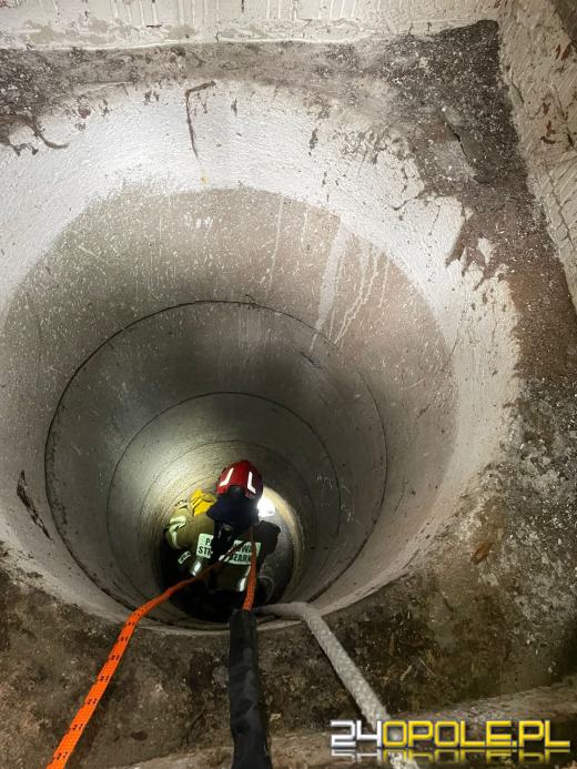 Kotek wpadł do studni w Kotlarni. Na szczęście przyszła pomoc 