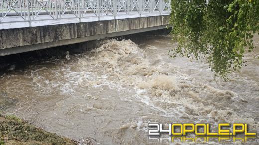 Rok po powodzi na Opolszczyźnie: bilans strat i postęp odbudowy