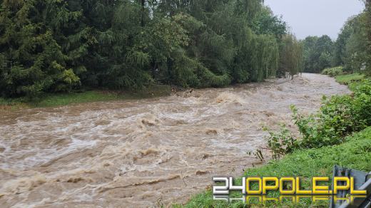 Rok po powodzi na Opolszczyźnie: bilans strat i postęp odbudowy