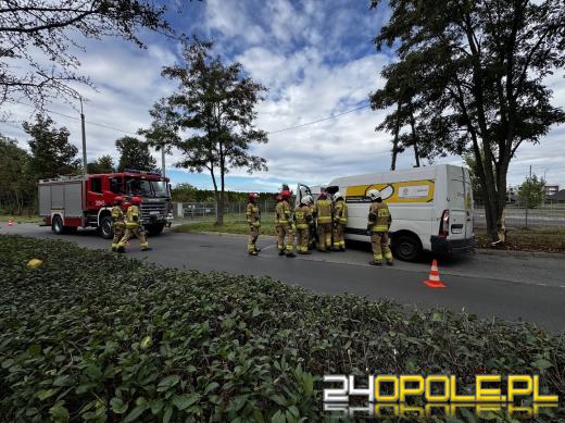 Skręcając wylądował na drzewie. Kolizja na Cmentarnej w Opolu