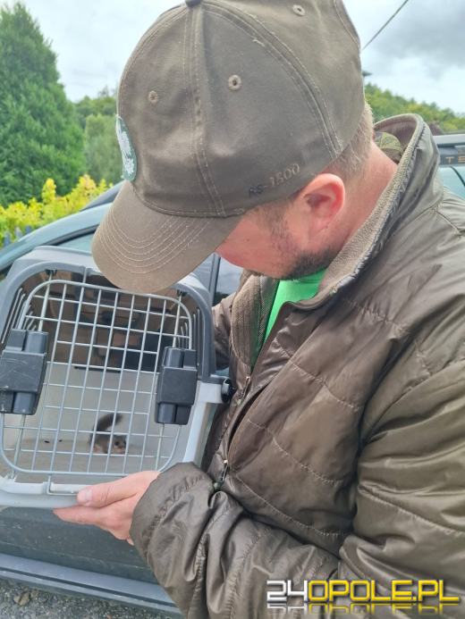 Popielica w kuchni. Niezwykła akcja ratunkowa w Jarnołtówku