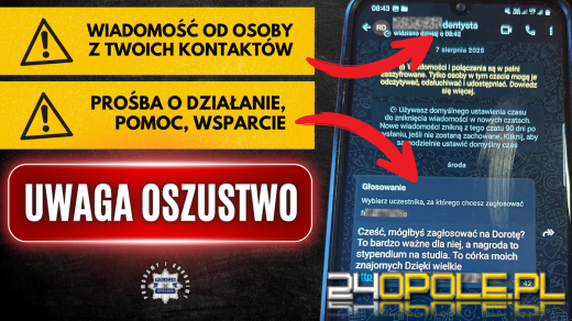 Fałszywe plebiscyty - nowa metoda oszustw