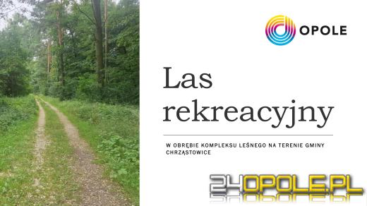 Alternatywa dla Wyspy Bolko? W Chrząstowicach powstanie nowy las rekreacyjny