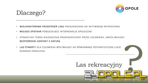 Alternatywa dla Wyspy Bolko? W Chrząstowicach powstanie nowy las rekreacyjny