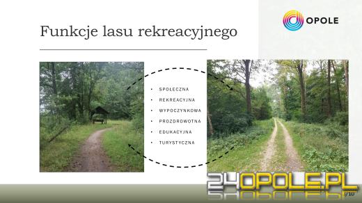 Alternatywa dla Wyspy Bolko? W Chrząstowicach powstanie nowy las rekreacyjny