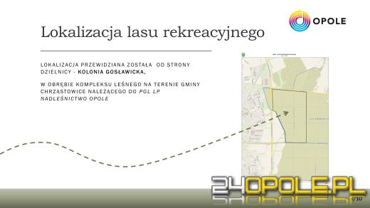 Alternatywa dla Wyspy Bolko? W Chrząstowicach powstanie nowy las rekreacyjny