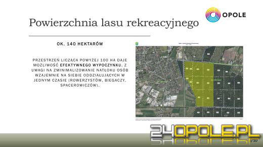 Alternatywa dla Wyspy Bolko? W Chrząstowicach powstanie nowy las rekreacyjny