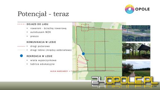 Alternatywa dla Wyspy Bolko? W Chrząstowicach powstanie nowy las rekreacyjny