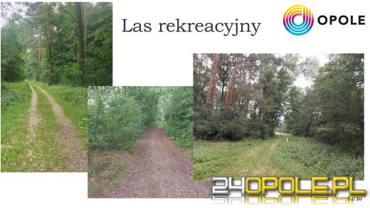Alternatywa dla Wyspy Bolko? W Chrząstowicach powstanie nowy las rekreacyjny