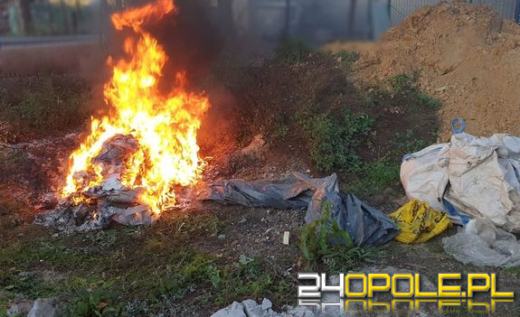 Mandat za spalanie śmieci