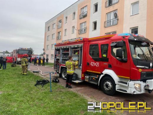 Pożar piwnicy przy ul. Broniewskiego w Kędzierzynie-Koźlu. Jedna osoba poszkodowana