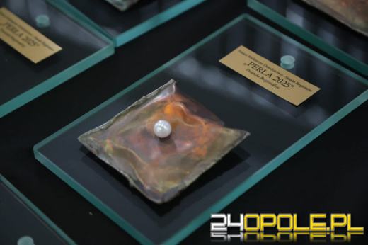 Opolskie smaki wśród najlepszych w Polsce