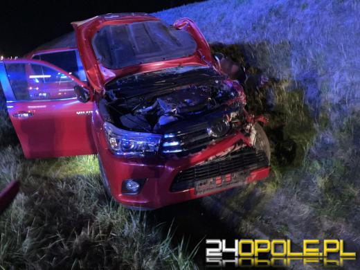 Zderzenie samochodu z łosiem na autostradzie A4