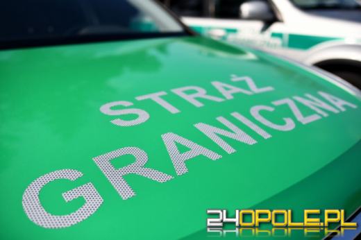 Nigeryjczyk z fałszywą kartą pobytu