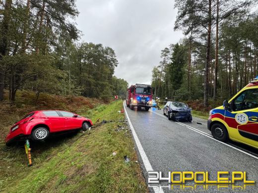 Poważny wypadek na DK45 pod Trzebiszynem. Jedna osoba trafiła do szpitala