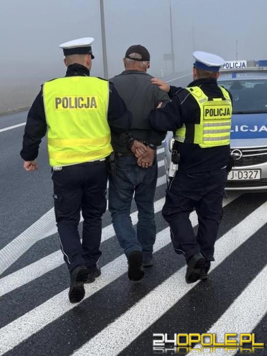 43 pijanych kierowców podczas "Trzeźwego poranka" na Opolszczyźnie