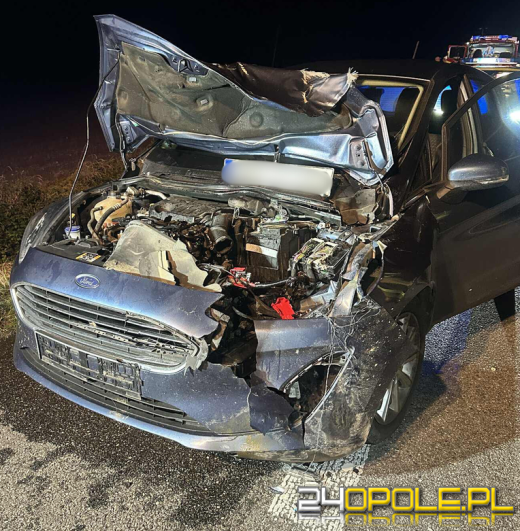 Zderzenie samochodu osobowego z sarną w okolicach Skoroszyc