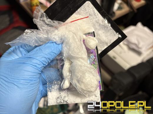 Poszukiwany wpadł z narkotykami. W mieszkaniu miał plantację (WIDEO)