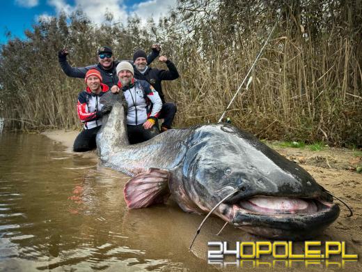 Polacy pobili rekord świata. W Zalewie Rybnickim złowiono największego suma w historii