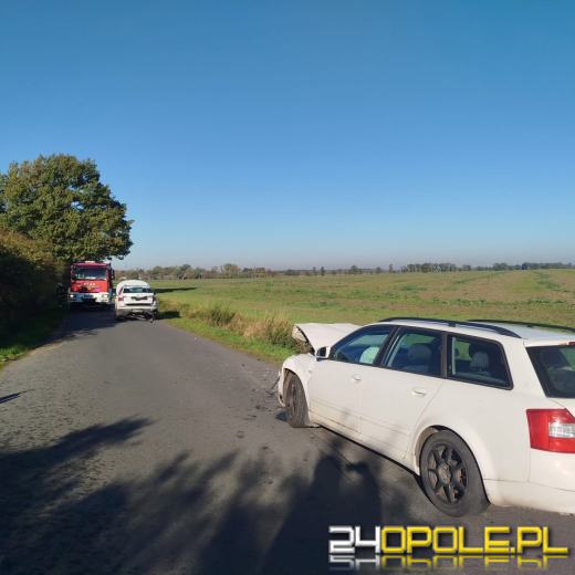 Wypadek na trasie Biestrzykowice - Dąbrowa Namysłowska. Trzy osoby w szpitalu