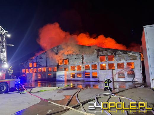 Pożar w Fałkowicach. Spłonęło ponad 130 000 kur  (AKTUALIZACJA) (WIDEO)