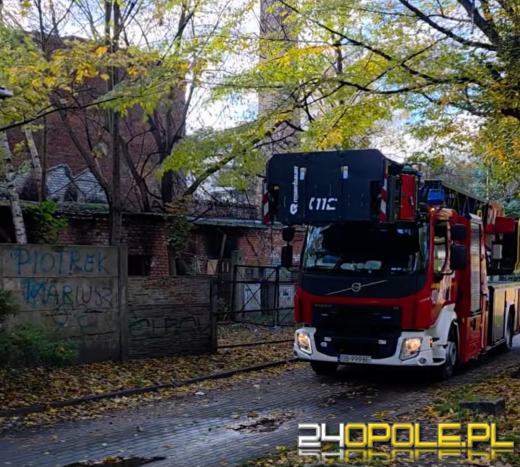 Tragiczny pożar w Brzegu. Nie żyje 72-letnia kobieta