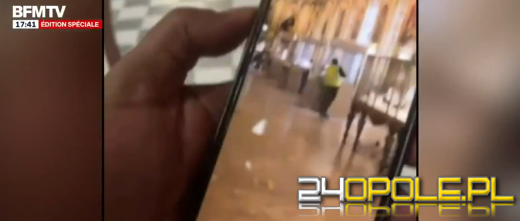 Nieudolni czy sprytni? Kradzież w Luwrze jak z filmu Gang Olsena. Rozmawiamy z policyjnym ekspertem