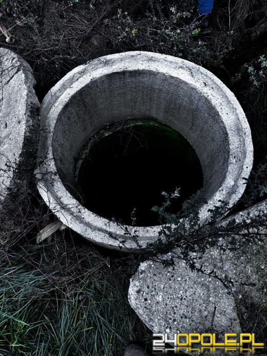 Poranny spacer zakończony akcją ratunkową. Borsuk uratowany dzięki czujności psa