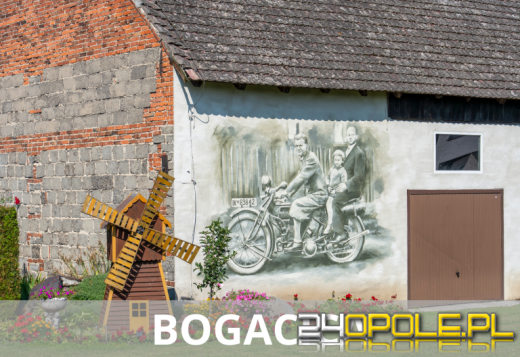 Sztuka na murach wsi Opolszczyzny. Zobacz nowe murale