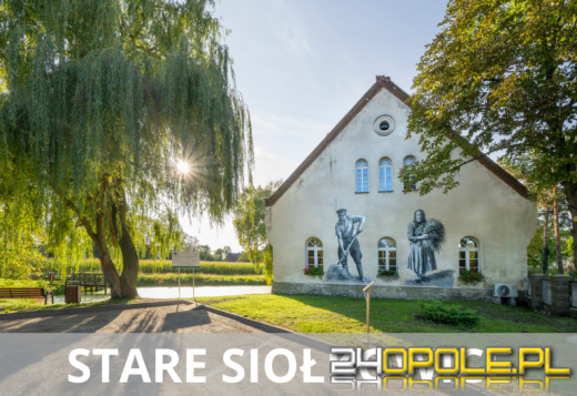 Sztuka na murach wsi Opolszczyzny. Zobacz nowe murale