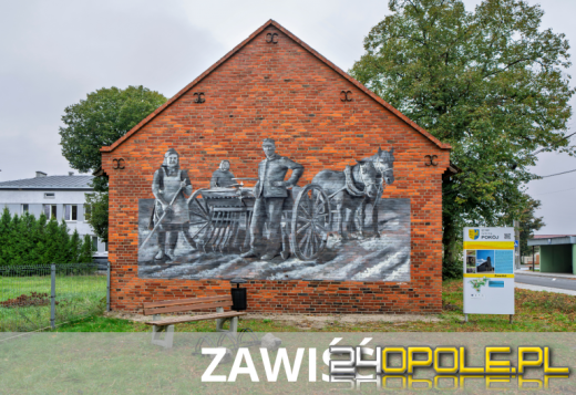 Sztuka na murach wsi Opolszczyzny. Zobacz nowe murale