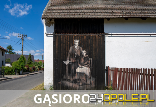 Sztuka na murach wsi Opolszczyzny. Zobacz nowe murale