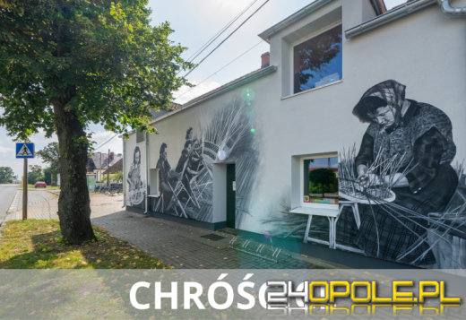 Sztuka na murach wsi Opolszczyzny. Zobacz nowe murale