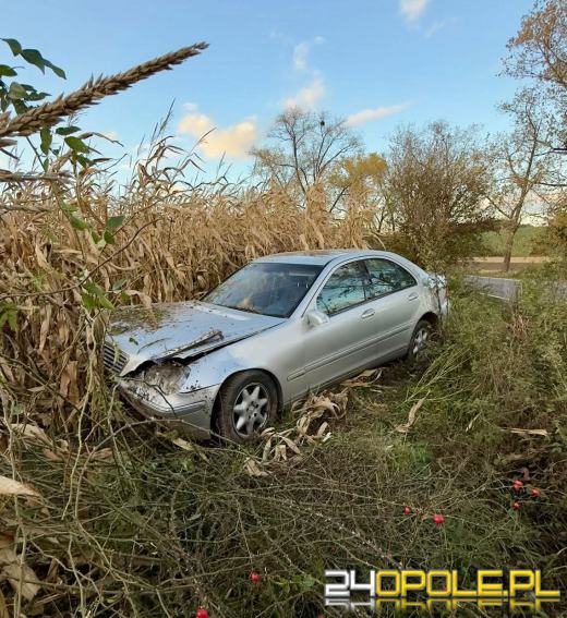 Pijany kierowca zakończył jazdę w polu kukurydzy. Nie miał uprawnień do prowadzenia
