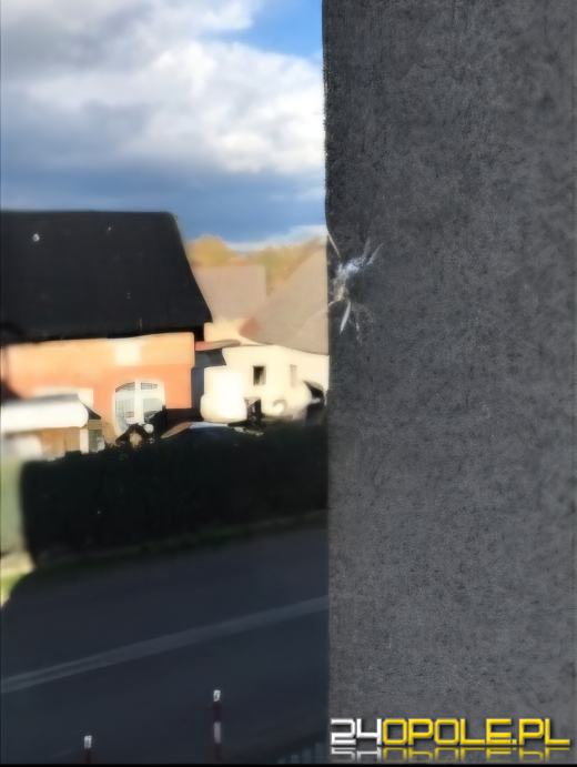 Ostrzelano szkołę podstawową we Włodarach 