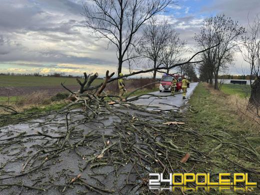 Silny wiatr nad Opolszczyzną. Strażacy interweniowali blisko 60 razy