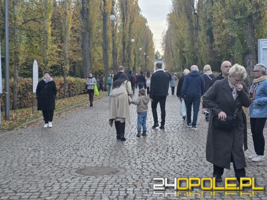 Dzień Zaduszny. Historia, tradycje i współczesne obchody